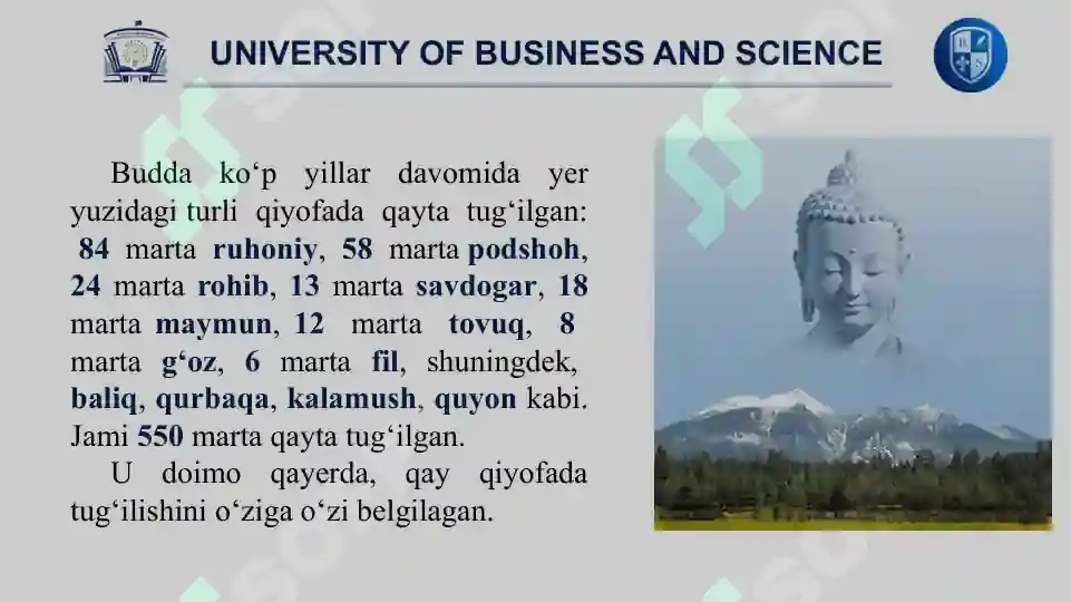 Product slide 6