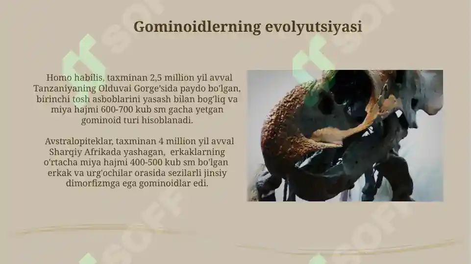 Product slide 6