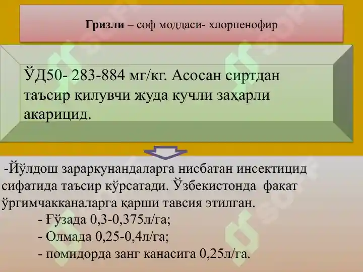 Product slide 6