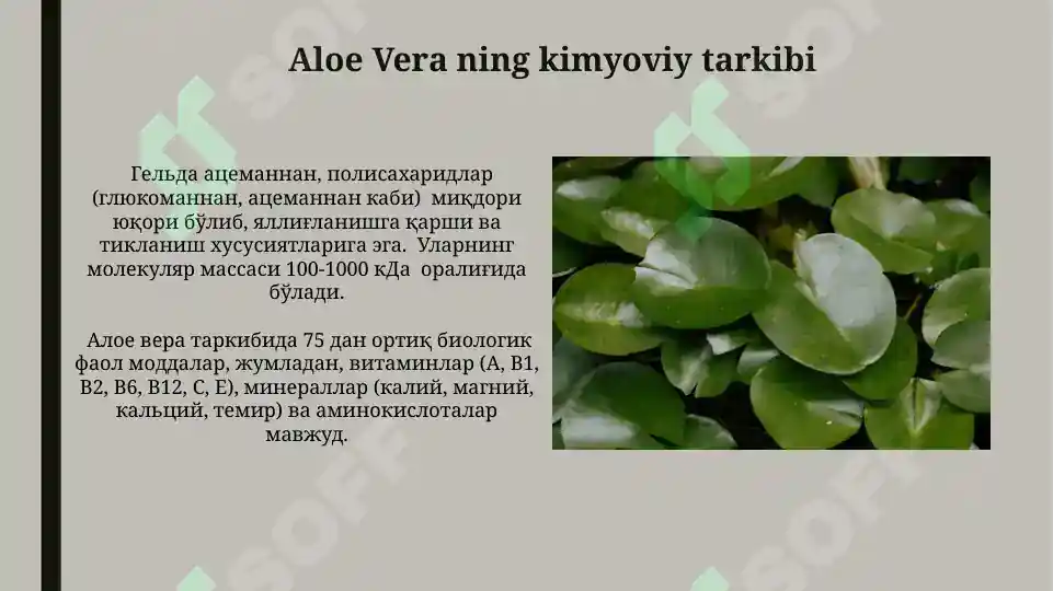 Product slide 7