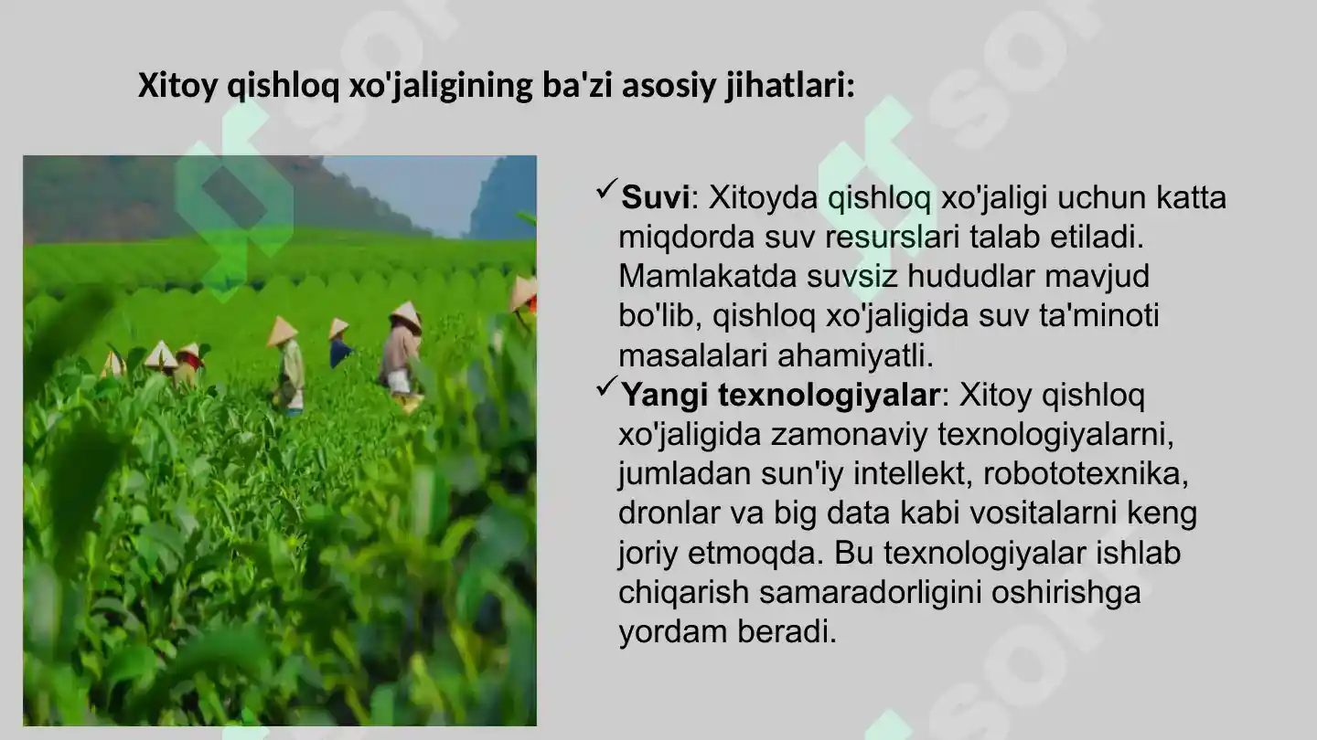 Product slide 6
