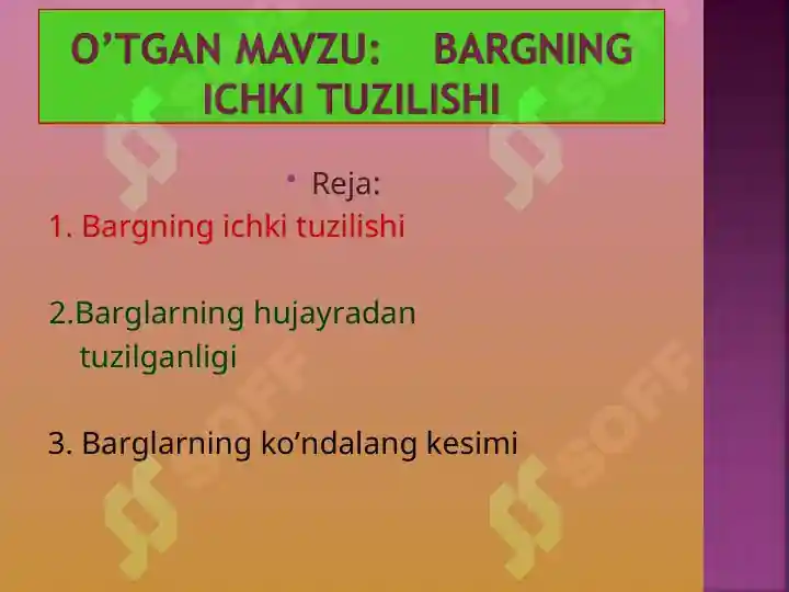 Product slide 7