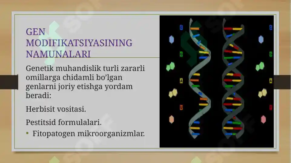 Product slide 4