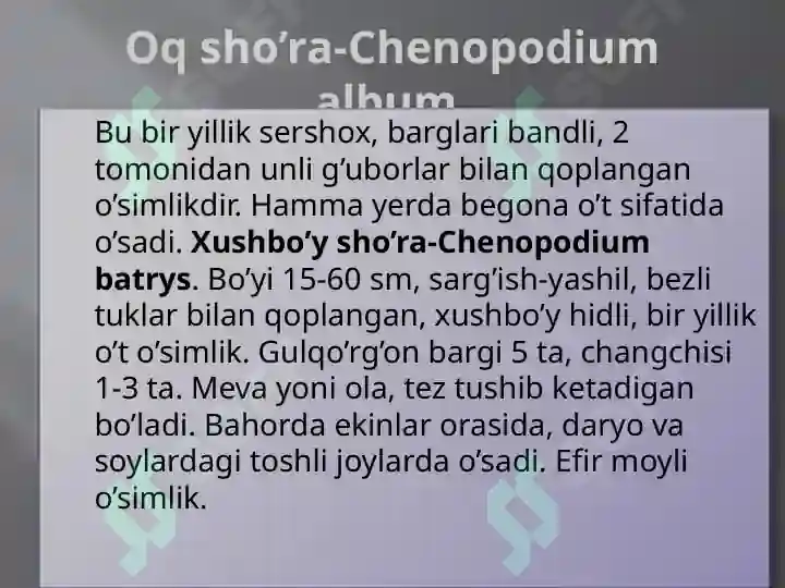 Product slide 8