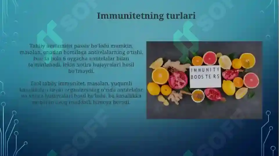 Product slide 5