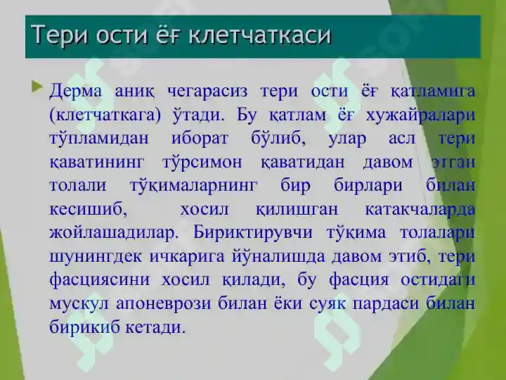 Product slide 7