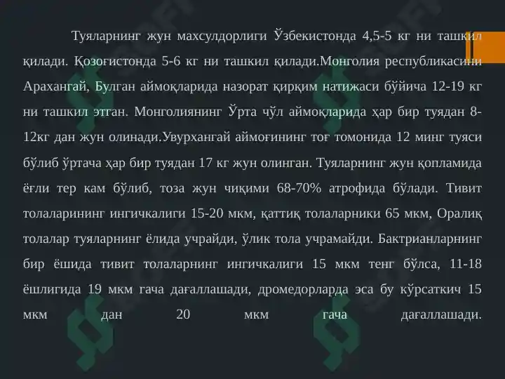 Product slide 7