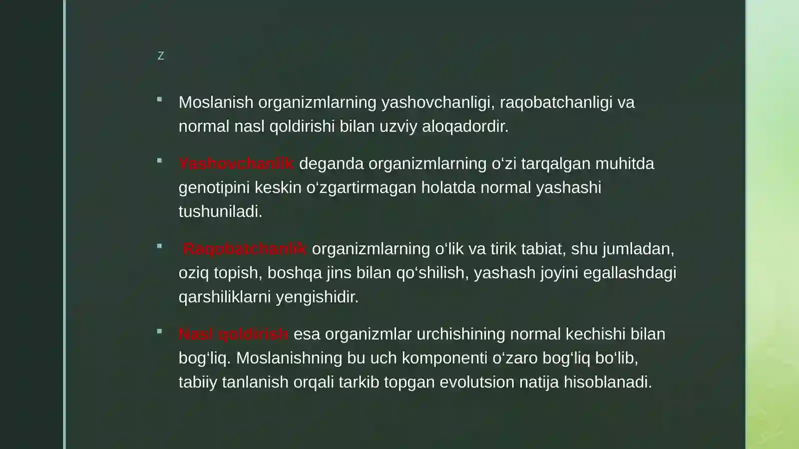 Product slide 4
